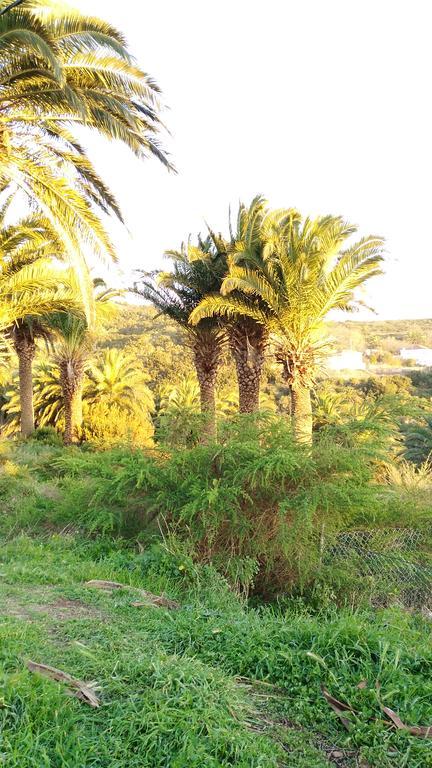 Pension Amparo Las Hayas Valle Gran Rey Rom bilde